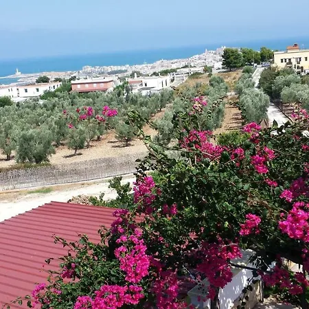 Natura * 维耶斯泰